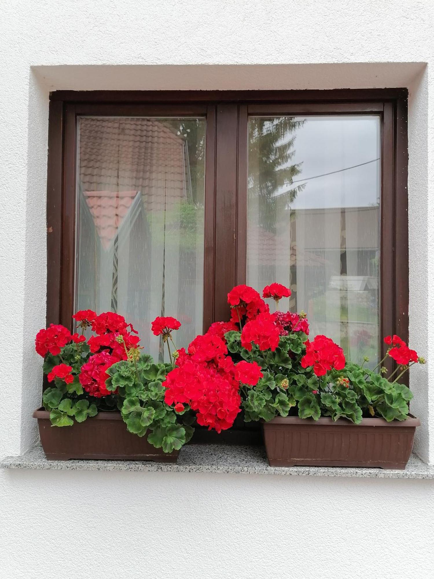 Hotel House Jezerka Jezerce Pokoj fotografie